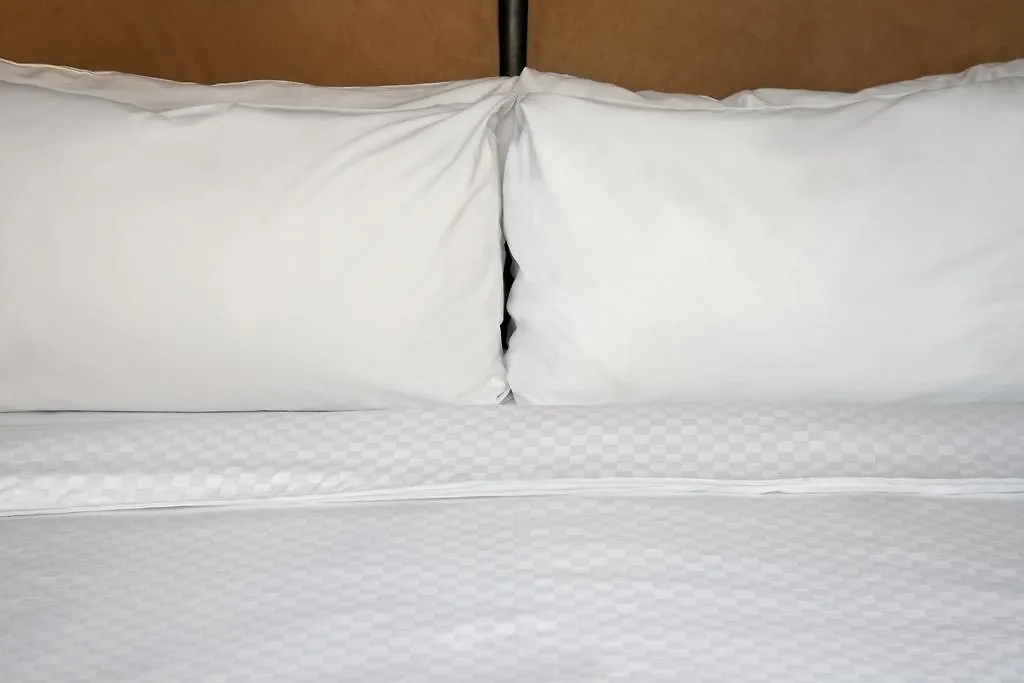 Four Points By Sheraton Montevideo-1